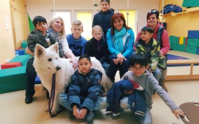 Vox Beitrag über unsere Hunde für tiergestütze Pädagogik