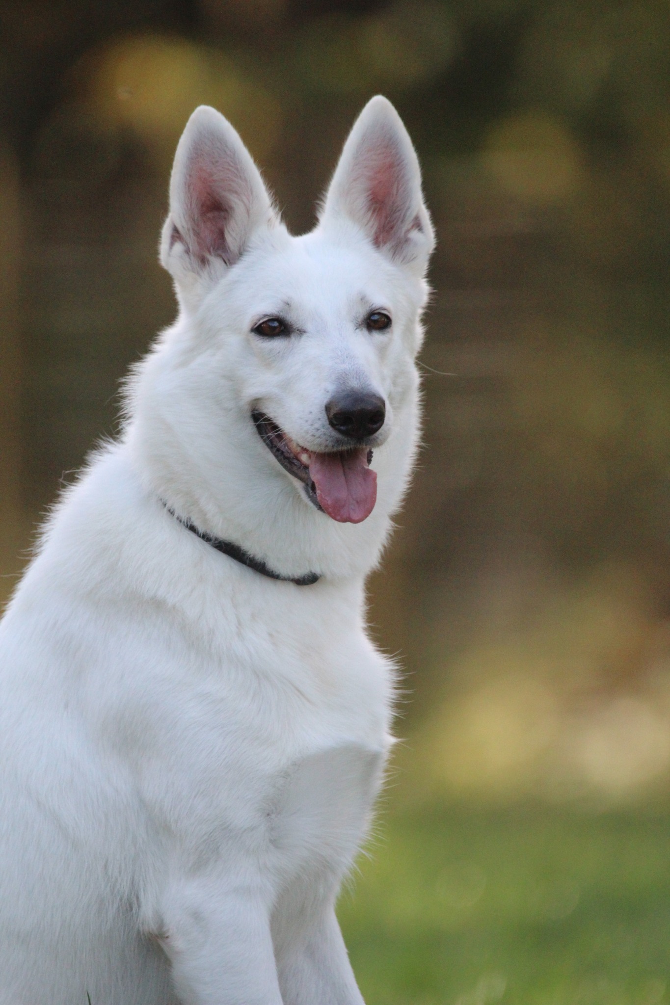 phoebe3